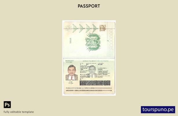 Plantilla de pasaporte de Bolivia lista para imprimir